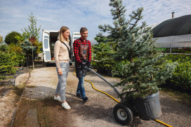 Professional Tree Care Services in Battle Creek, MI